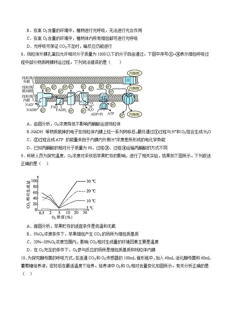 2025年新高考生物一轮复习第3单元细胞的能量供应和利用（测试）（学生版）第3页