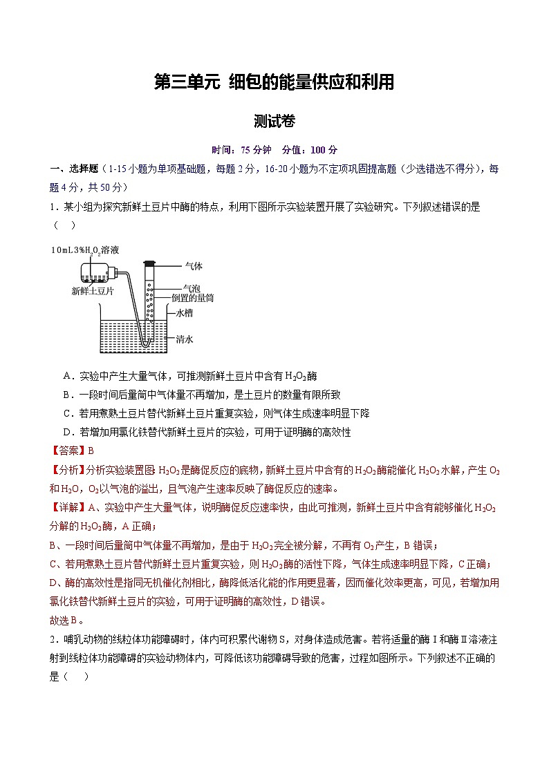 2025年新高考生物一轮复习第3单元细胞的能量供应和利用（测试）（教师版）第1页