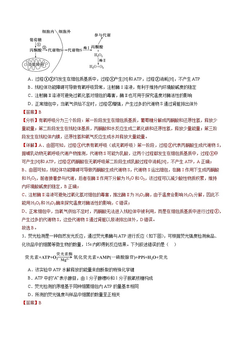 2025年新高考生物一轮复习第3单元细胞的能量供应和利用（测试）（教师版）第2页