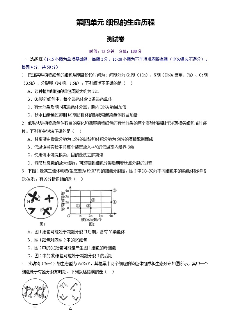 2025年新高考生物一轮复习第4单元细胞的生命历程（测试）（学生版）第1页