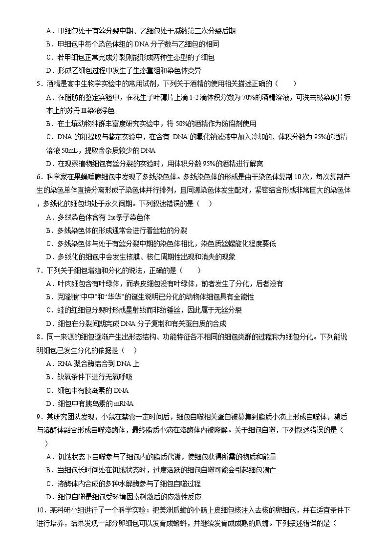 2025年新高考生物一轮复习第4单元细胞的生命历程（测试）（学生版）第2页