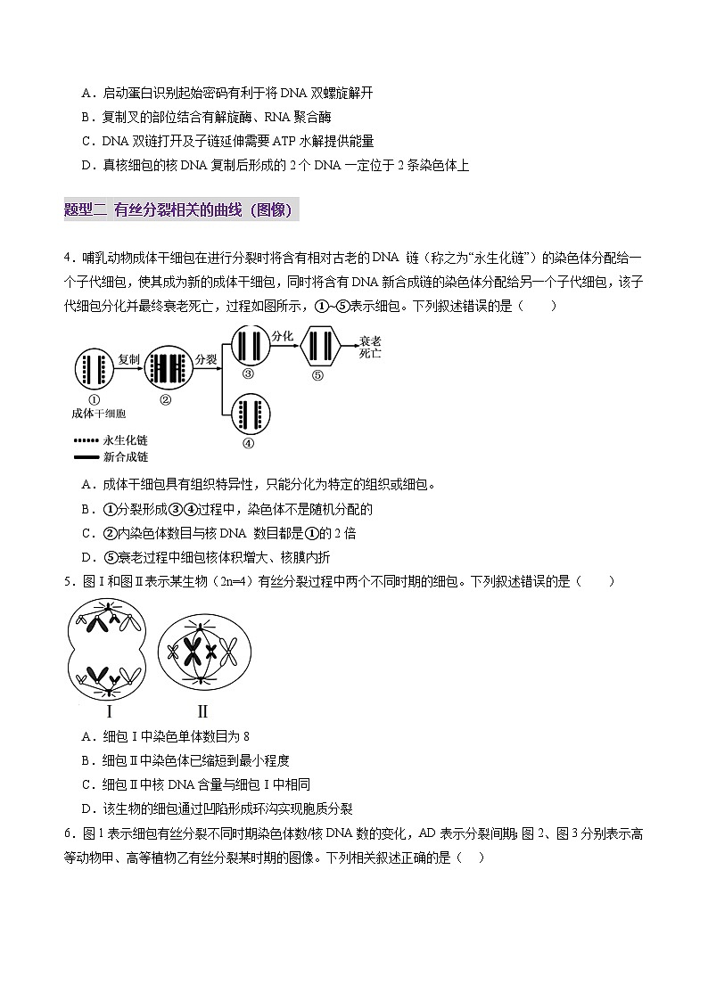 2025年新高考生物一轮复习第4单元细胞的生命历程第12讲细胞增殖（练习）（学生版）第2页