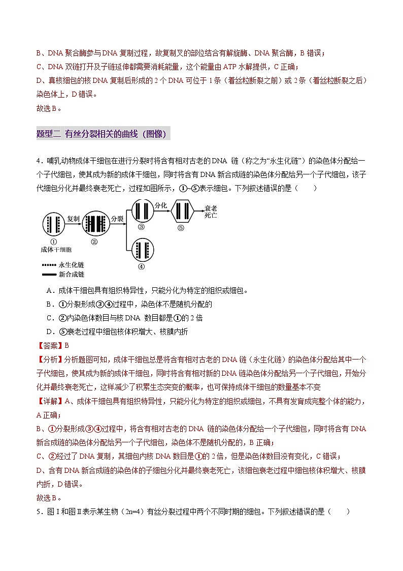 2025年新高考生物一轮复习第4单元细胞的生命历程第12讲细胞增殖（练习）（教师版）第3页