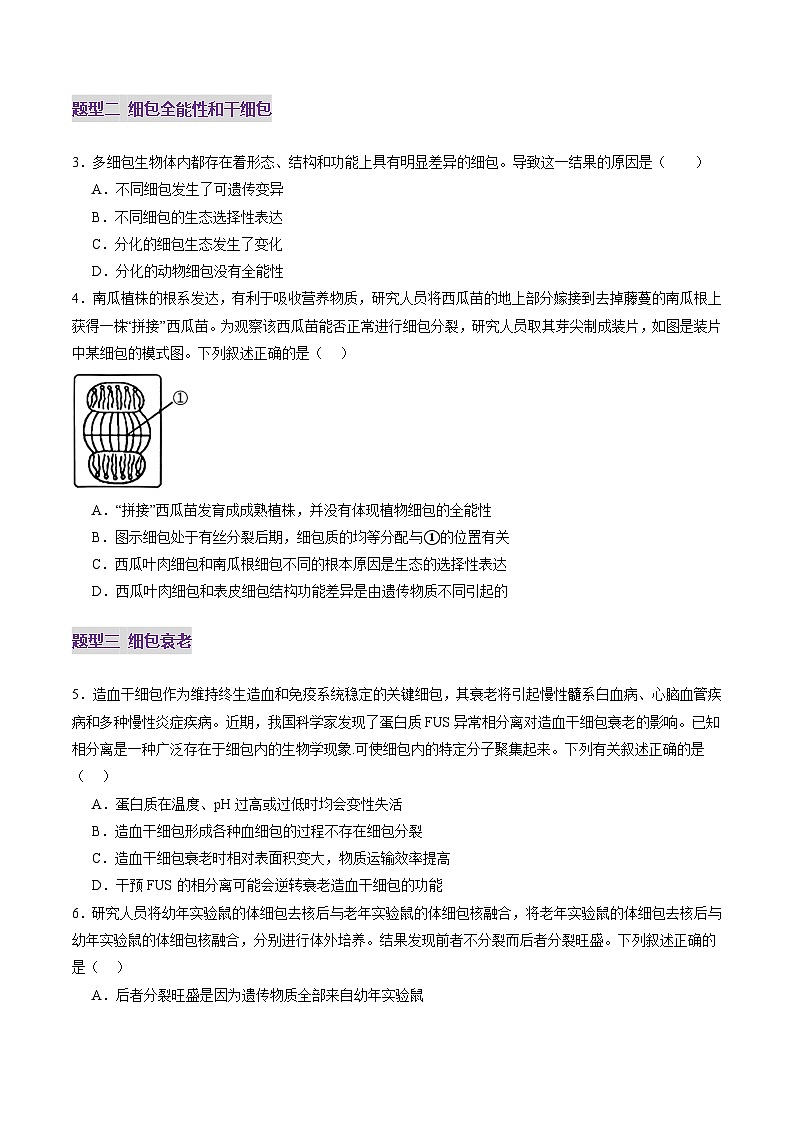 2025年新高考生物一轮复习第4单元细胞的生命历程第14讲细胞的分化、衰老、死亡和癌变（练习）（学生版）第2页