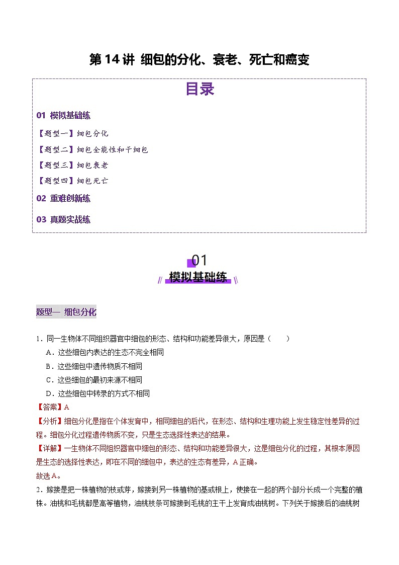 2025年新高考生物一轮复习第4单元细胞的生命历程第14讲细胞的分化、衰老、死亡和癌变（练习）（教师版）第1页