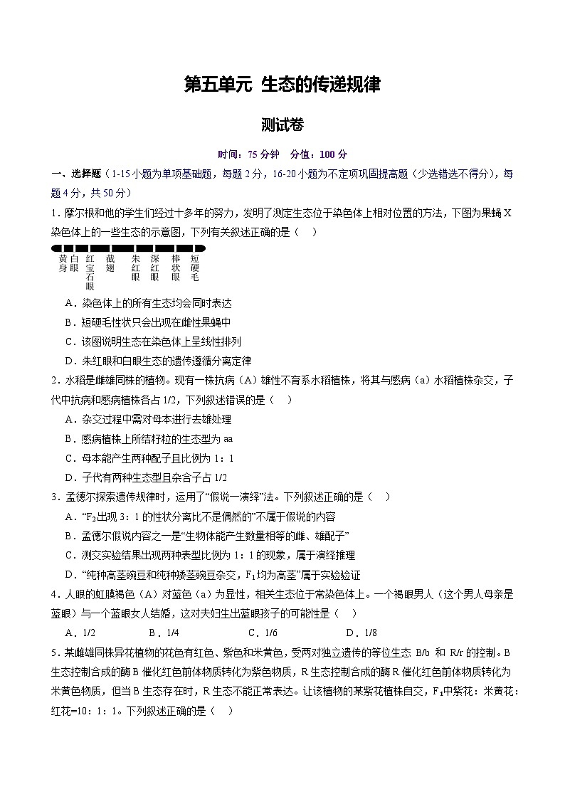 2025年新高考生物一轮复习第5单元基因的传递规律（测试）（学生版）第1页