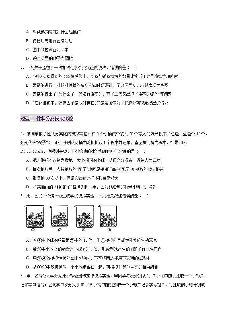 2025年新高考生物一轮复习第5单元基因的传递规律第15讲分离定律（练习）（学生版）第2页