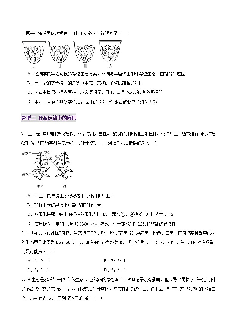 2025年新高考生物一轮复习第5单元基因的传递规律第15讲分离定律（练习）（学生版）第3页