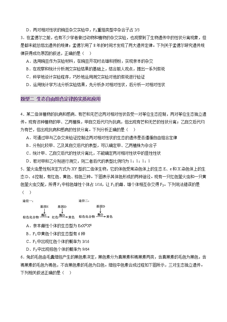 2025年新高考生物一轮复习第5单元基因的传递规律第16讲自由组合定律（第一课时）（练习）（学生版）第2页