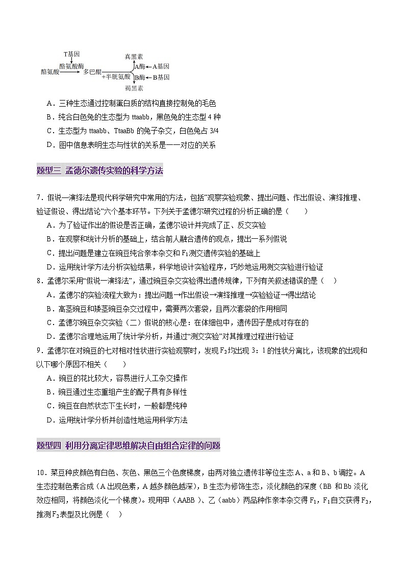 2025年新高考生物一轮复习第5单元基因的传递规律第16讲自由组合定律（第一课时）（练习）（学生版）第3页