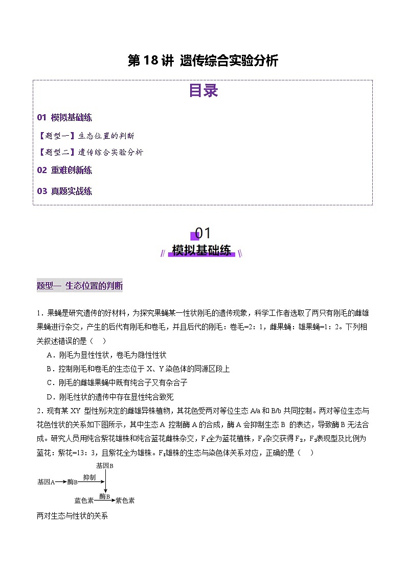 2025年新高考生物一轮复习第5单元基因的传递规律第18讲遗传综合实验分析（练习）（学生版）第1页