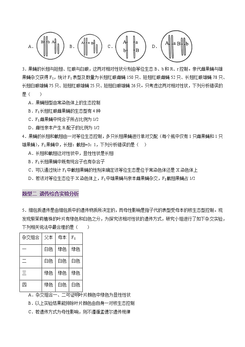 2025年新高考生物一轮复习第5单元基因的传递规律第18讲遗传综合实验分析（练习）（学生版）第2页