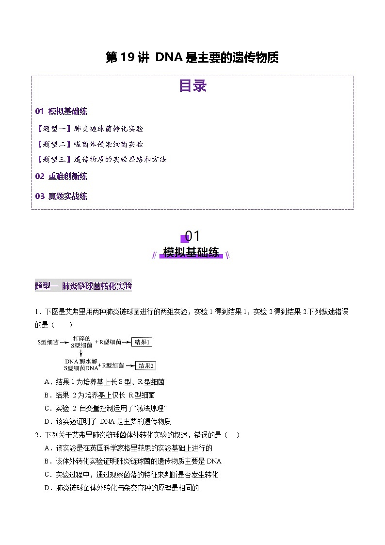 2025年新高考生物一轮复习第6单元遗传的分子基础第19讲DNA是主要的遗传物质（练习）（学生版）第1页
