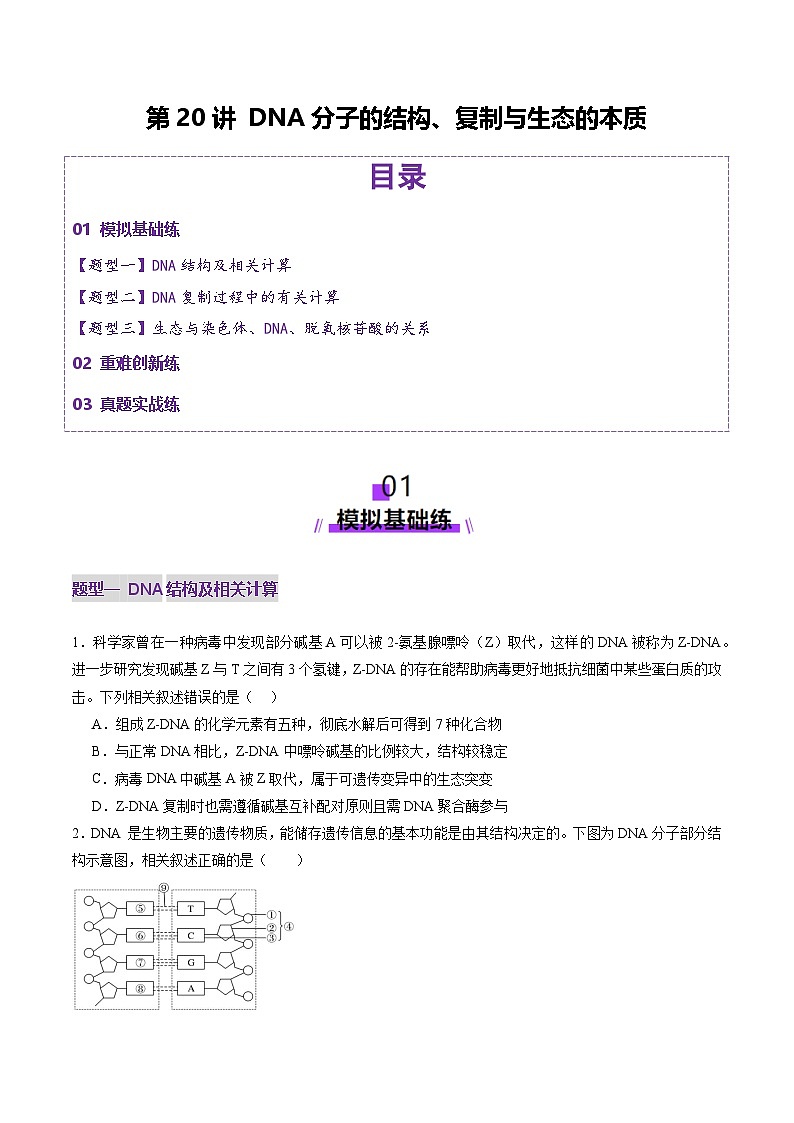 2025年新高考生物一轮复习第6单元遗传的分子基础第20讲DNA分子的结构、复制与基因的本质（练习）（学生版）第1页
