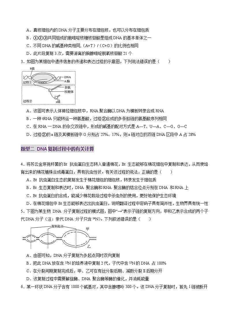 2025年新高考生物一轮复习第6单元遗传的分子基础第20讲DNA分子的结构、复制与基因的本质（练习）（学生版）第2页
