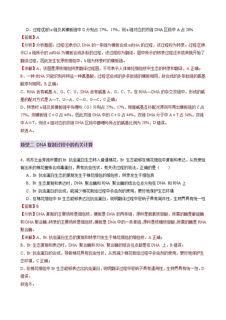 2025年新高考生物一轮复习第6单元遗传的分子基础第20讲DNA分子的结构、复制与基因的本质（练习）（教师版）第3页
