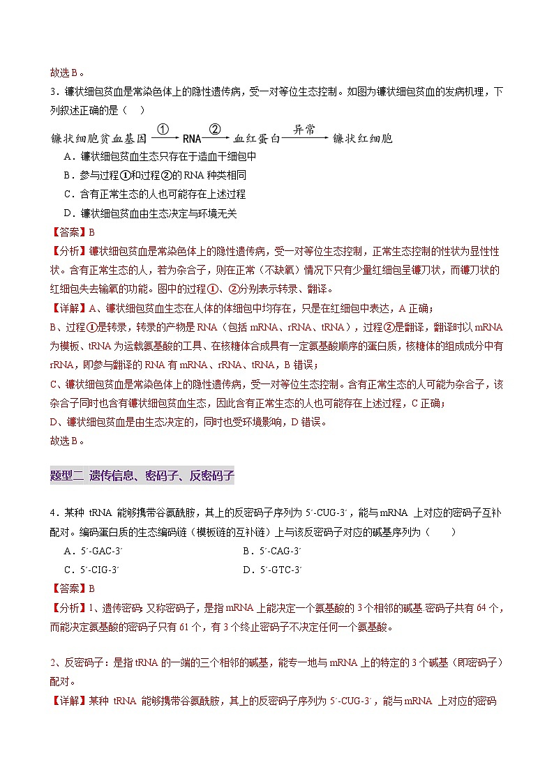 2025年新高考生物一轮复习第6单元遗传的分子基础第21讲基因的表达、基因与性状的关系（练习）（教师版）第3页