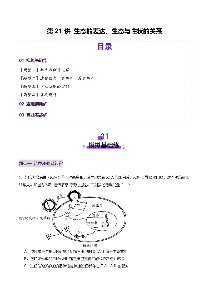 2025年新高考生物一轮复习第6单元遗传的分子基础第21讲基因的表达、基因与性状的关系（练习）（学生版）第1页