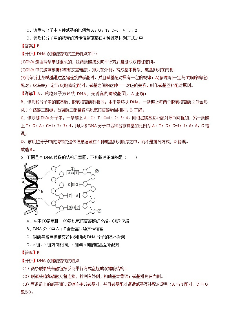 2025年新高考生物一轮复习第6单元遗传的物质基础（测试）（教师版）第3页