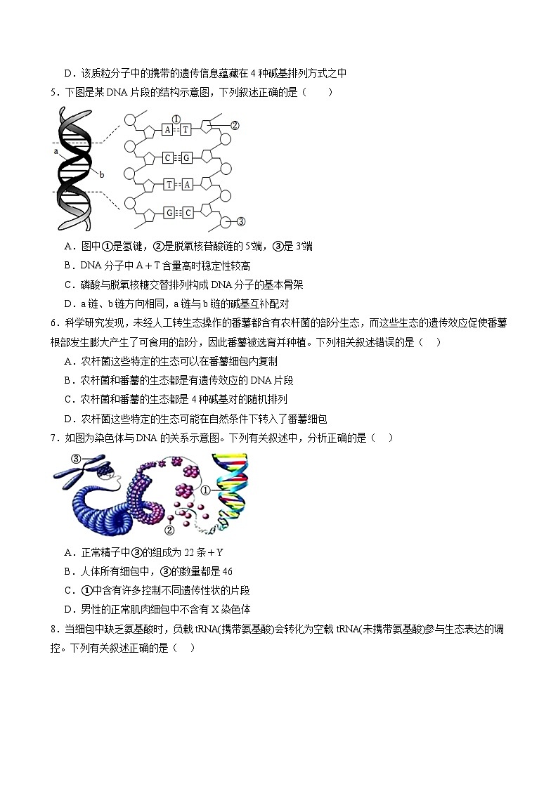 2025年新高考生物一轮复习第6单元遗传的物质基础（测试）（学生版）第2页