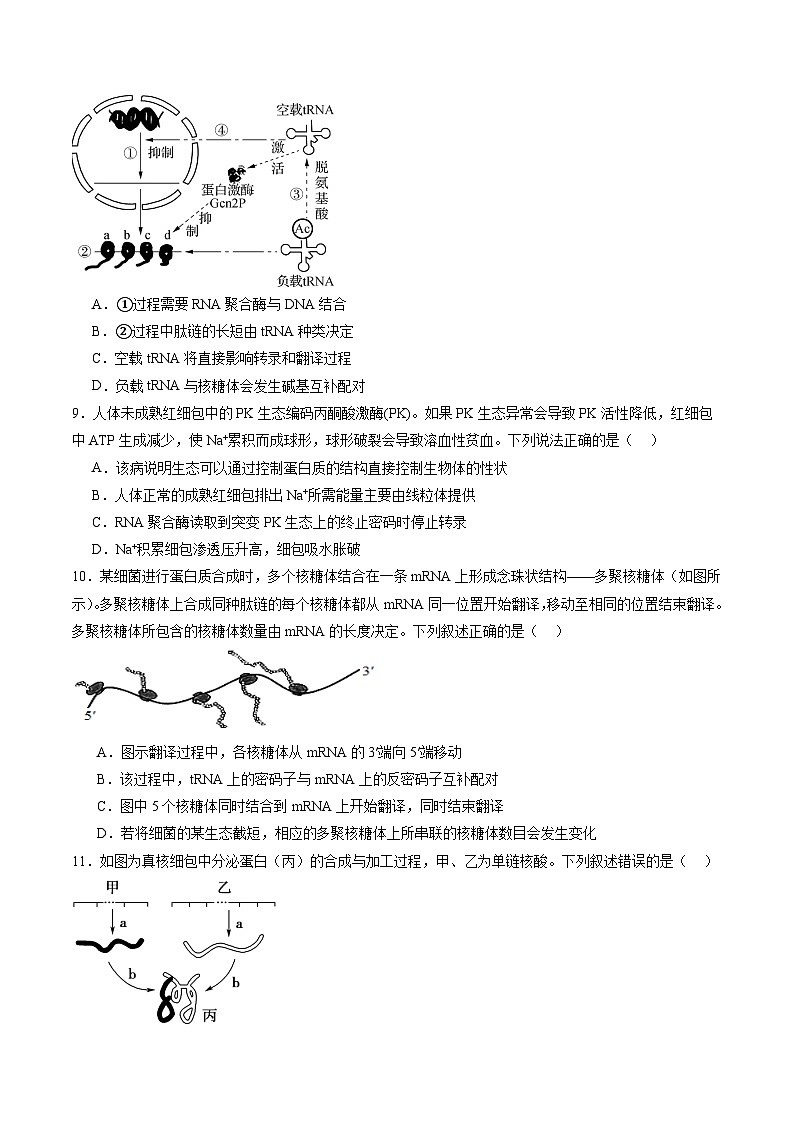 2025年新高考生物一轮复习第6单元遗传的物质基础（测试）（学生版）第3页