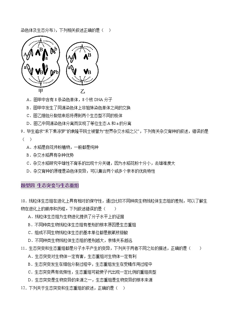2025年新高考生物一轮复习第7单元生物的变异和进化第22讲生物的变异（第一课时，基因突变和基因重组）（练习）（学生版）第3页