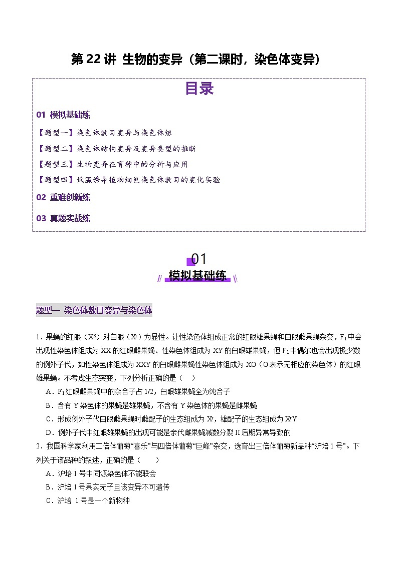 2025年新高考生物一轮复习第7单元生物的变异和进化第22讲生物的变异（第二课时，染色体变异）（练习）（学生版）第1页