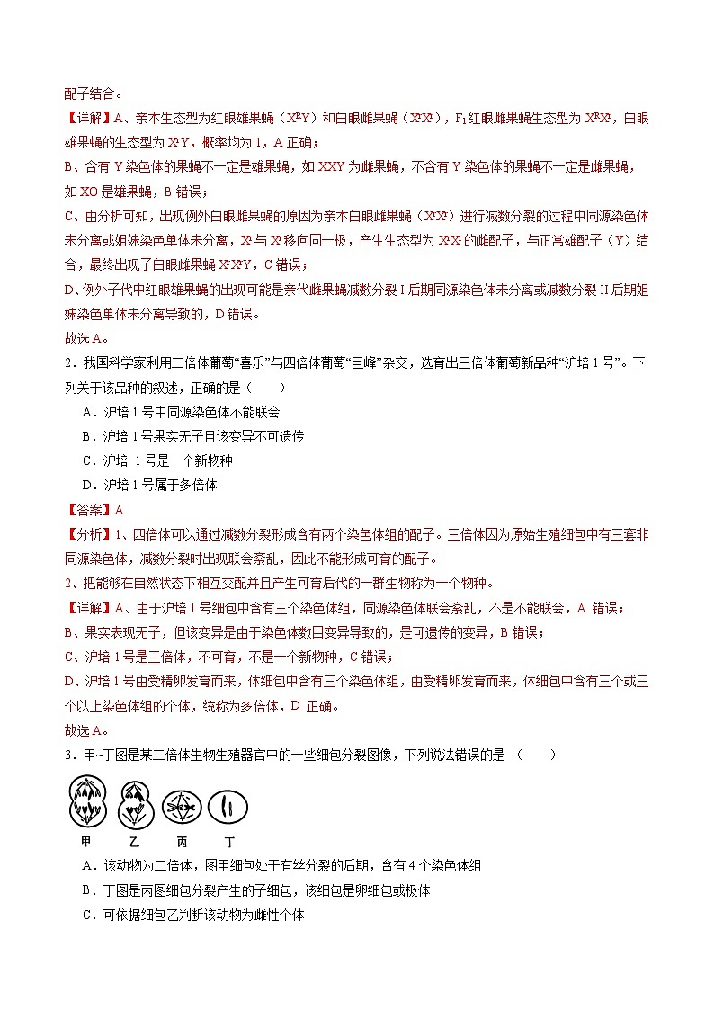 2025年新高考生物一轮复习第7单元生物的变异和进化第22讲生物的变异（第二课时，染色体变异）（练习）（教师版）第2页