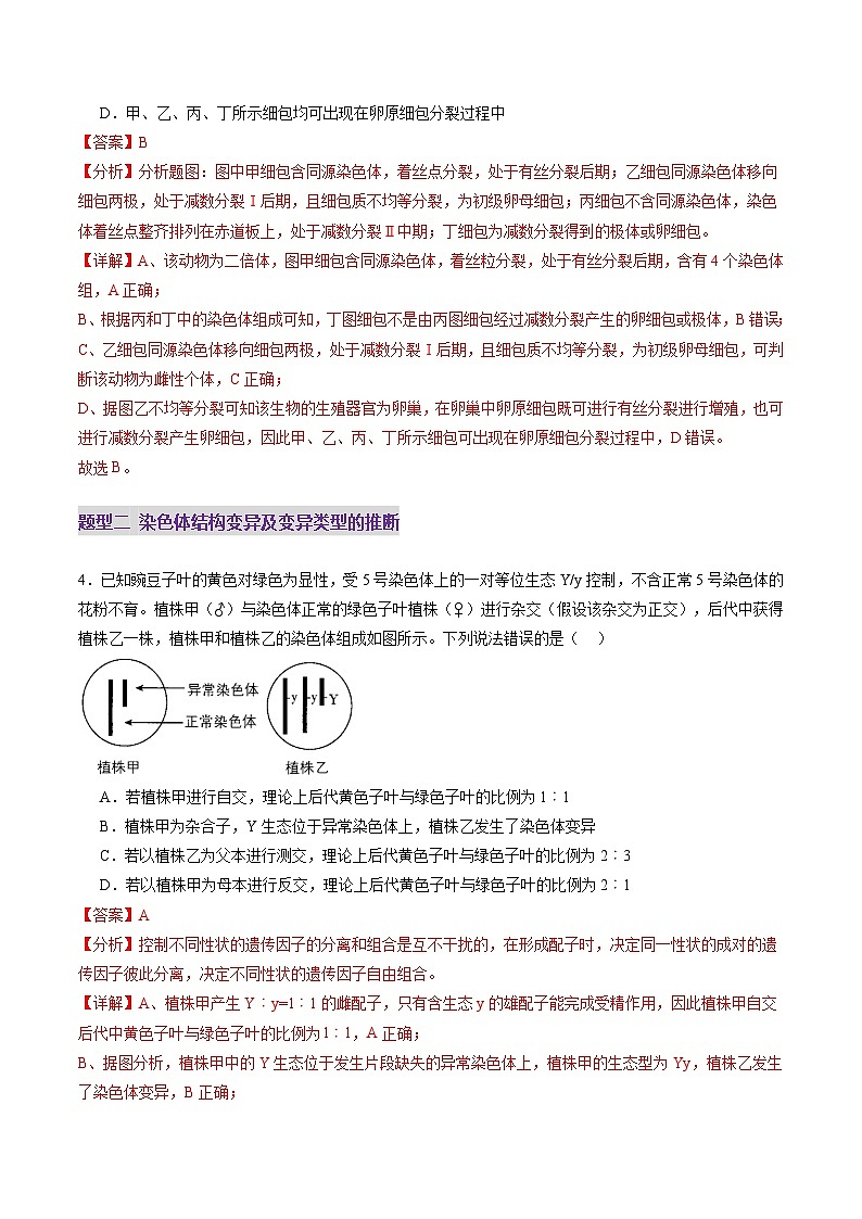 2025年新高考生物一轮复习第7单元生物的变异和进化第22讲生物的变异（第二课时，染色体变异）（练习）（教师版）第3页