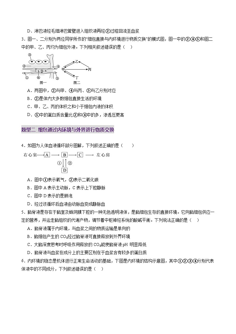 2025年新高考生物一轮复习第8单元稳态与调节第24讲内环境与稳态（练习）（学生版）第2页