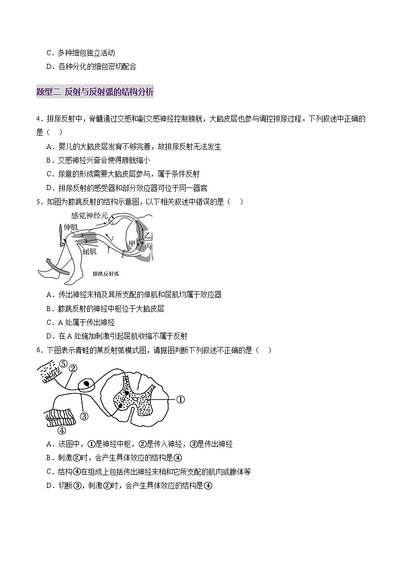 2025年新高考生物一轮复习第8单元稳态与调节第25讲神经调节（第一课时，神经调节的结构基础及基本方式）（练习）（学生版）第2页