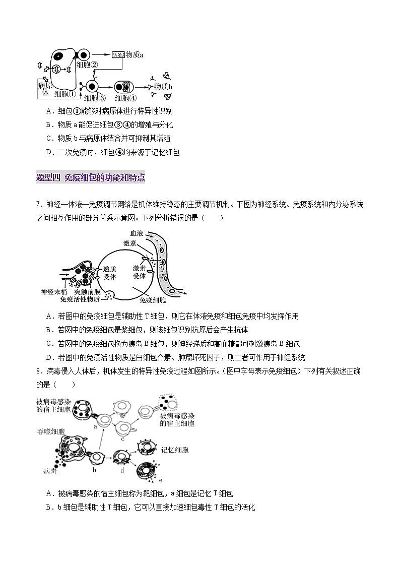2025年新高考生物一轮复习第8单元稳态与调节第28讲免疫调节（练习）（学生版）第3页