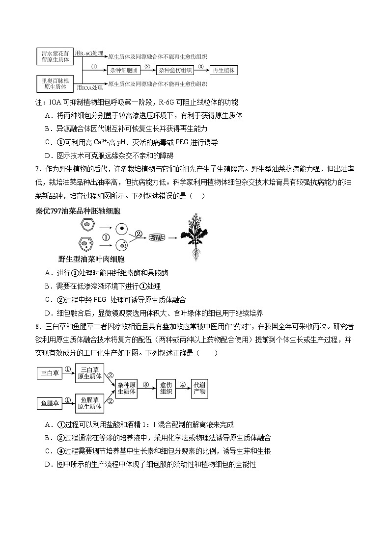 2025年新高考生物一轮复习第10单元生物技术与工程第39讲植物细胞工程（练习）（学生版）第3页
