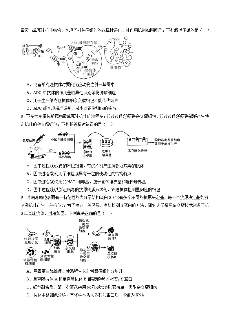 2025年新高考生物一轮复习第10单元生物技术与工程第40讲动物细胞工程（练习）（学生版）第3页