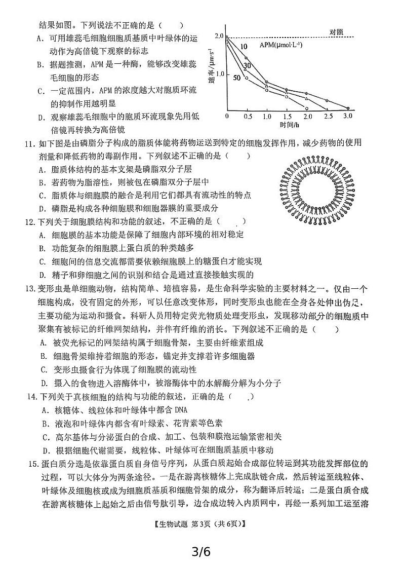 安徽省江淮名校2024-2025学年高一上学期11月期中考试生物试题第3页