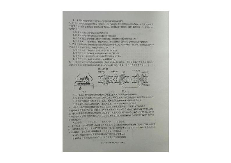 辽宁省大连市第十二中学2024-2025学年高二上学期12月学情反馈生物试卷第2页