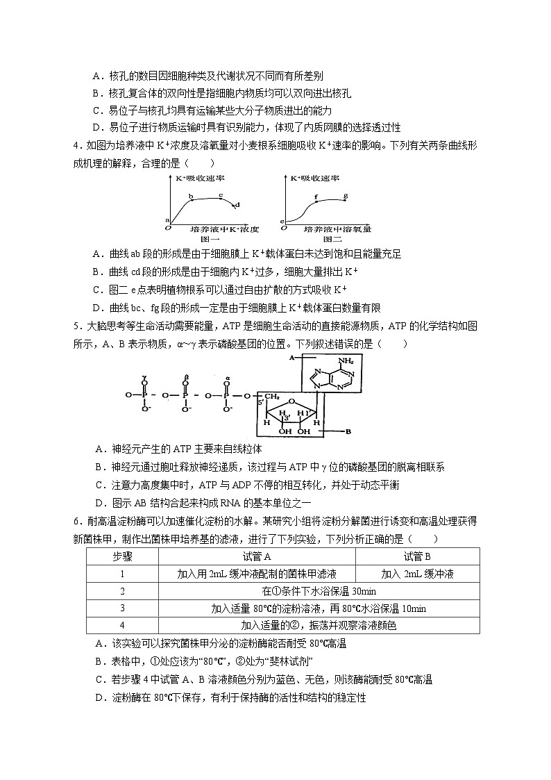 2025广东省实验中学高三上学期11月月考生物试题无答案第2页