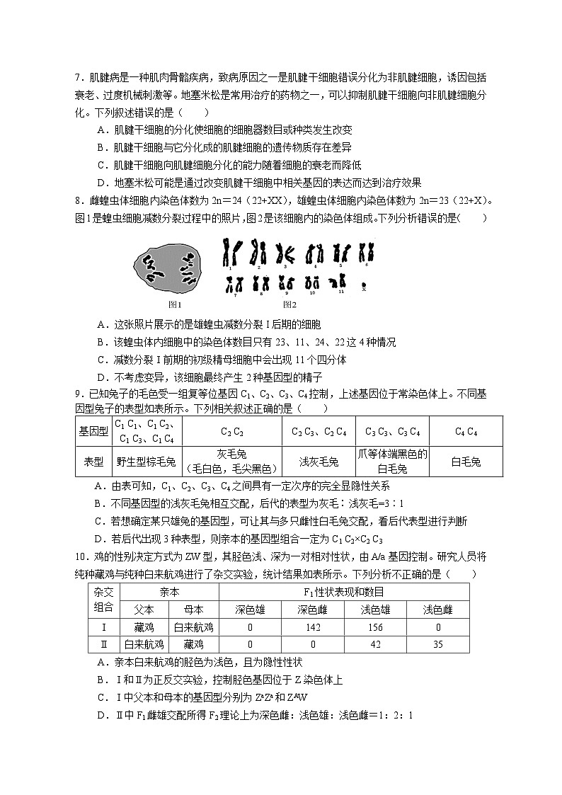 2025广东省实验中学高三上学期11月月考生物试题无答案第3页