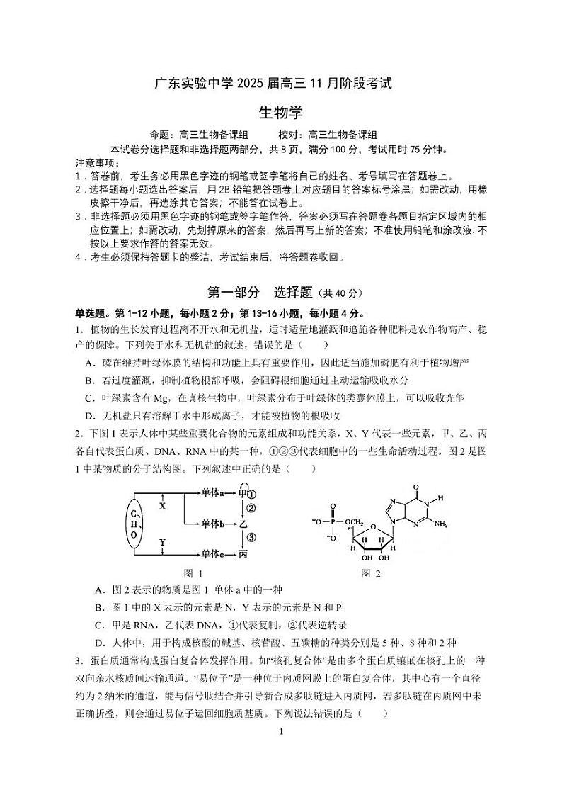 2025广东省实验中学高三上学期11月月考生物试题PDF版无答案第1页