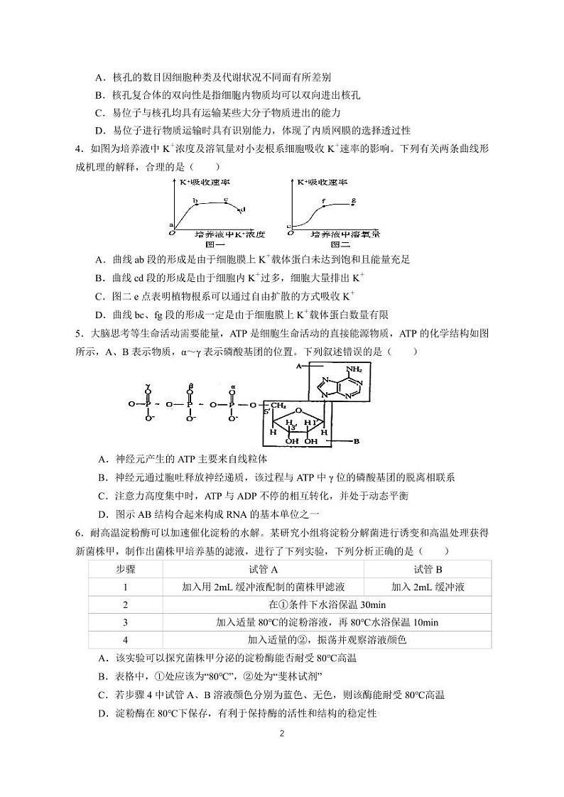 2025广东省实验中学高三上学期11月月考生物试题PDF版无答案第2页