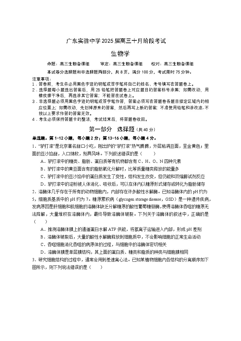 2025广东省实验中学高三上学期10月月考生物试题无答案第1页