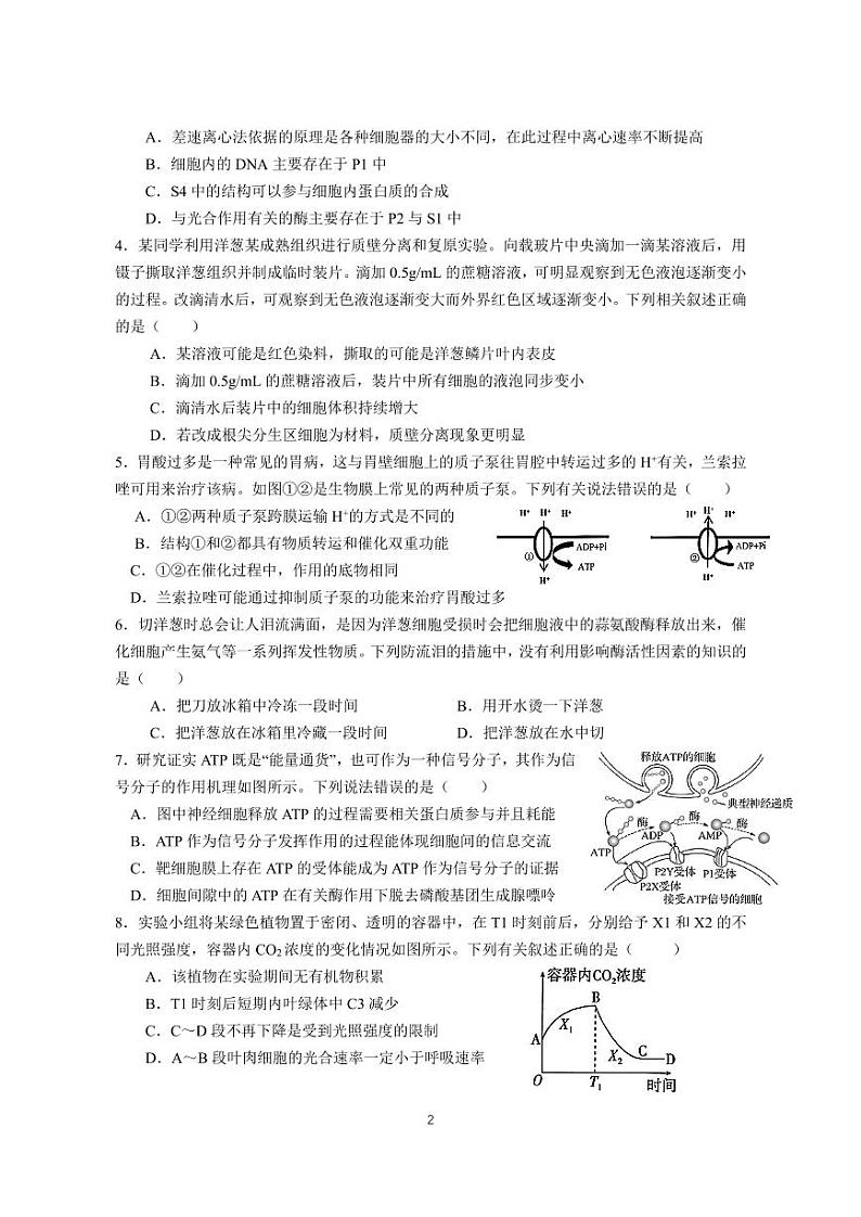 高三十月阶段考试-生物学第2页