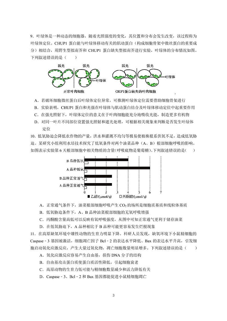 高三十月阶段考试-生物学第3页