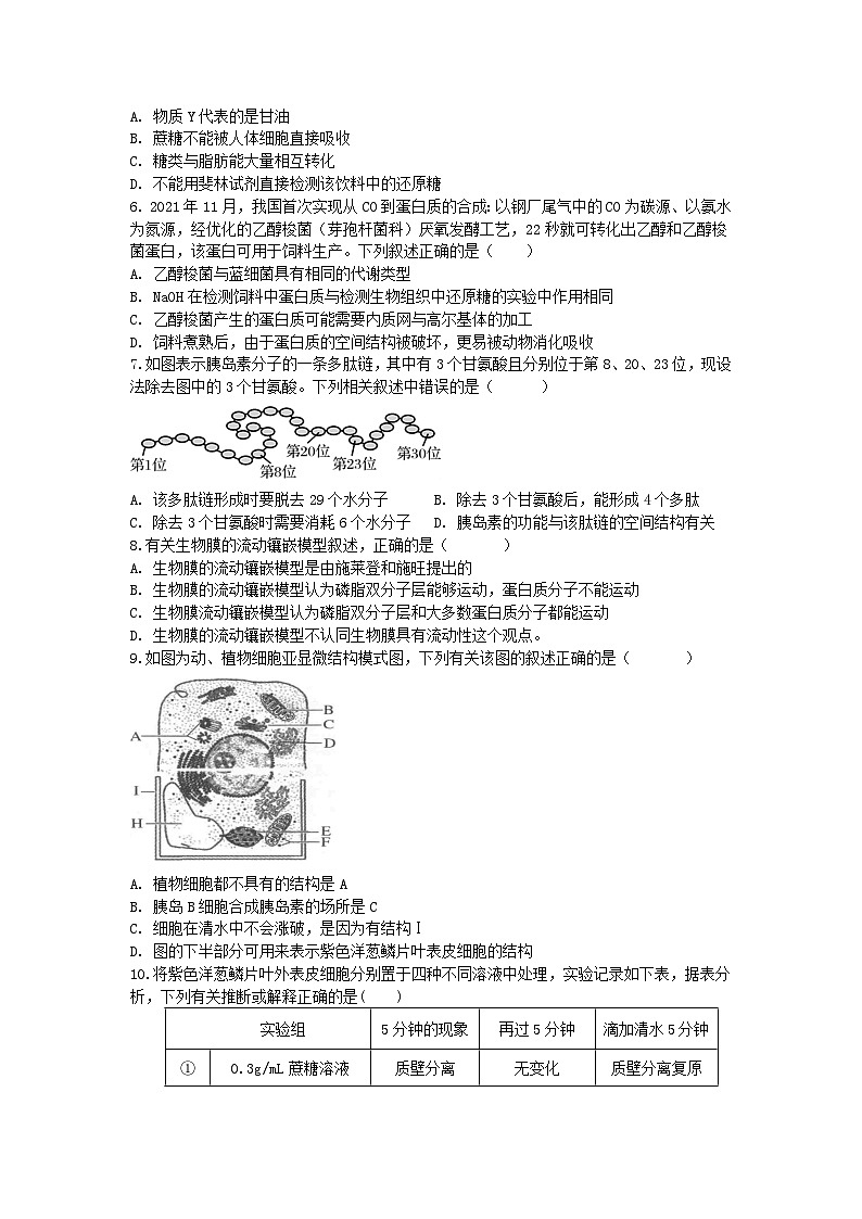 四川省眉山市仁寿县2024-2025学年高三上学期11月期中校际联考生物试题第2页