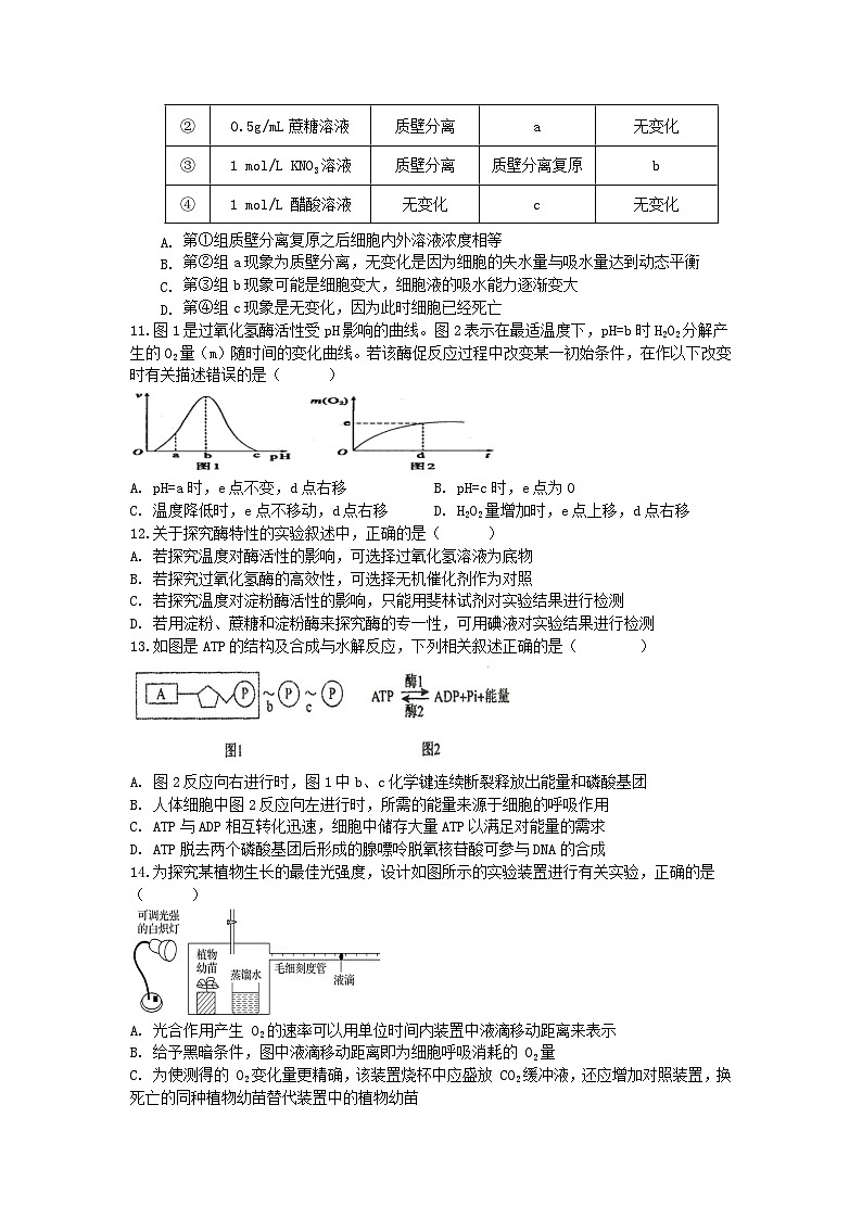 四川省眉山市仁寿县2024-2025学年高三上学期11月期中校际联考生物试题第3页