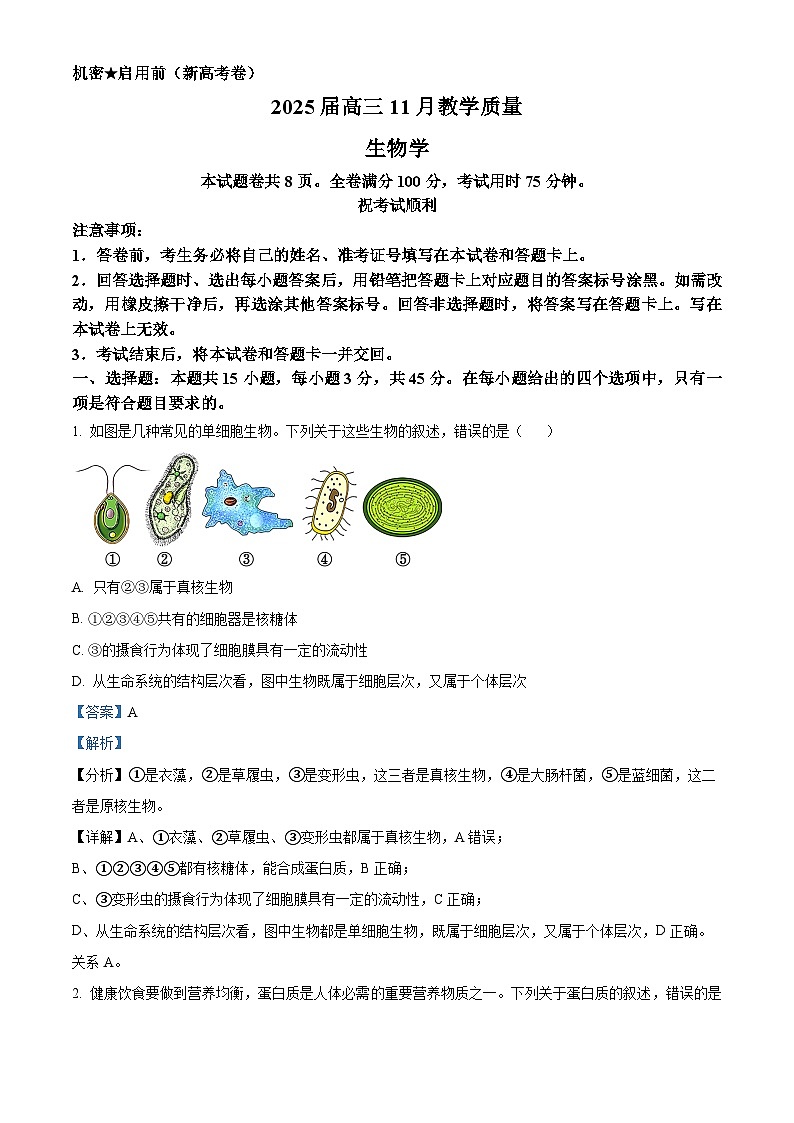 河南省华大联考2024-2025学年高三上学期11月期中生物试题含解析第1页