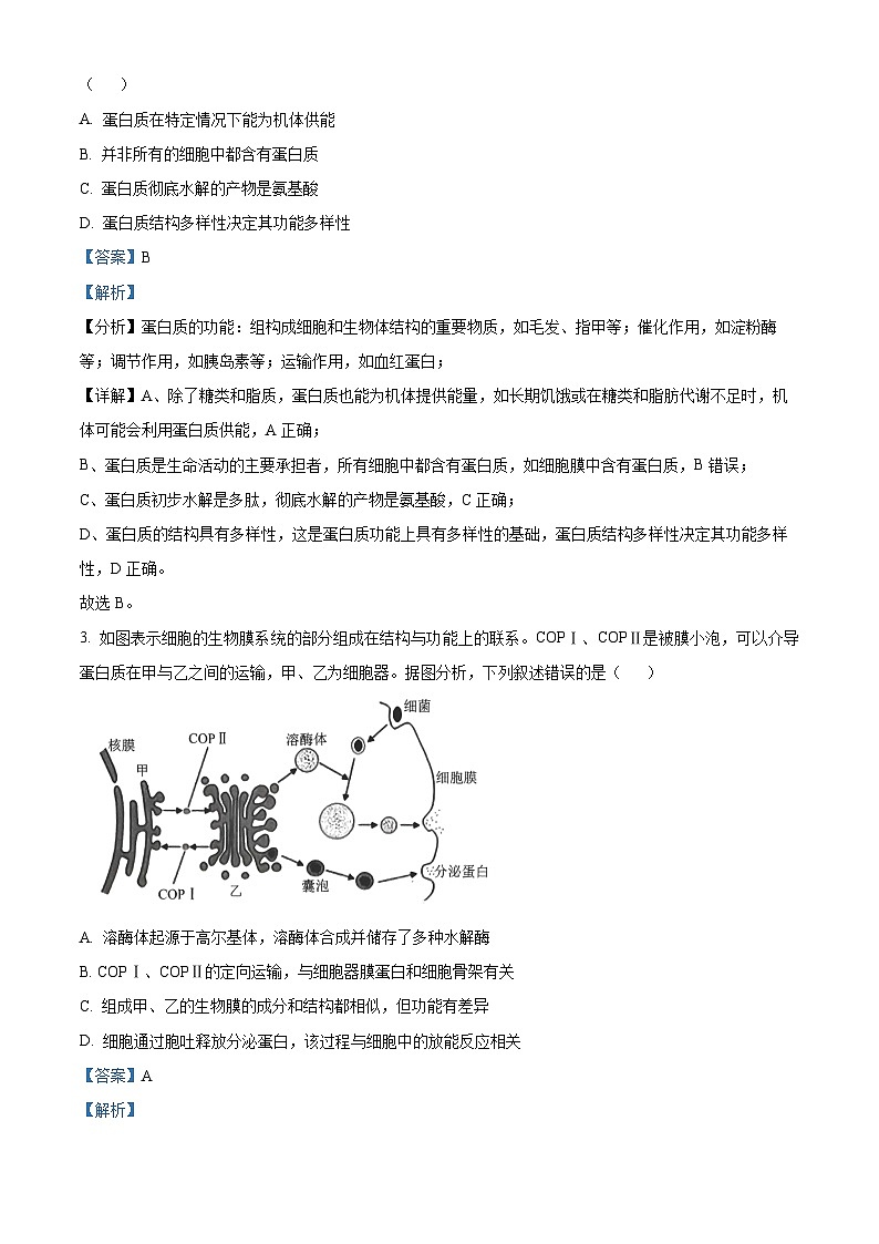 河南省华大联考2024-2025学年高三上学期11月期中生物试题含解析第2页