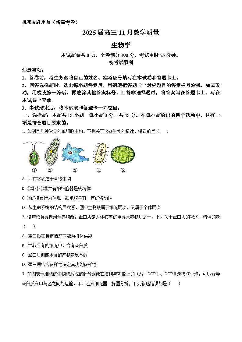 河南省华大联考2024-2025学年高三上学期11月期中生物试题无答案第1页