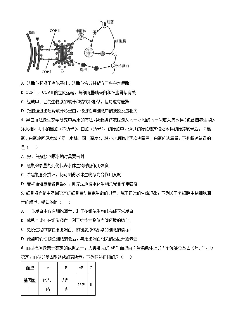 河南省华大联考2024-2025学年高三上学期11月期中生物试题无答案第2页