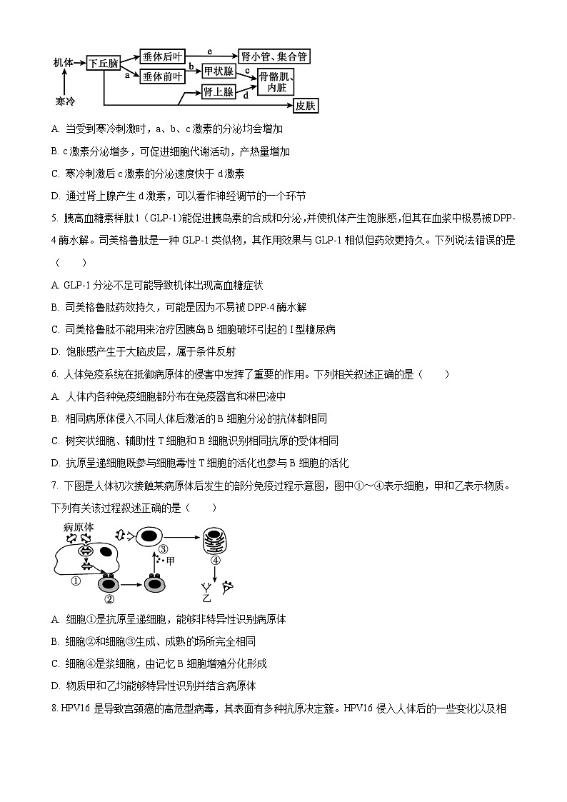 江苏省徐州市2024-2025学年高二上学期期中考试生物试题无答案第2页